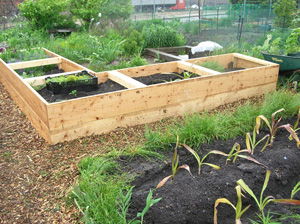 jp raised beds