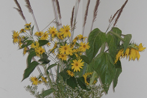 twelvth anniversarry cutflowers