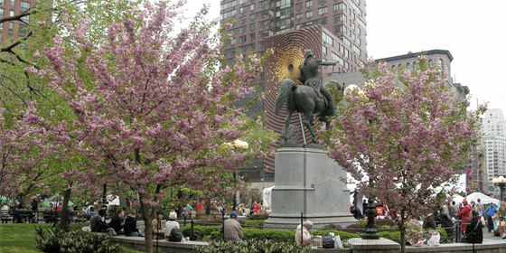 kwanzan cherries in union square park