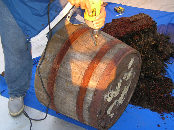 beginning to drill in oak barrel