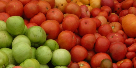 tomatoes for sale