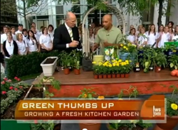 video link kitchen gardening