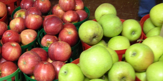 adolphs apples for sale at indoor market