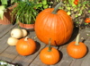 pumpkins on roofdeck