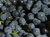 concord grapes